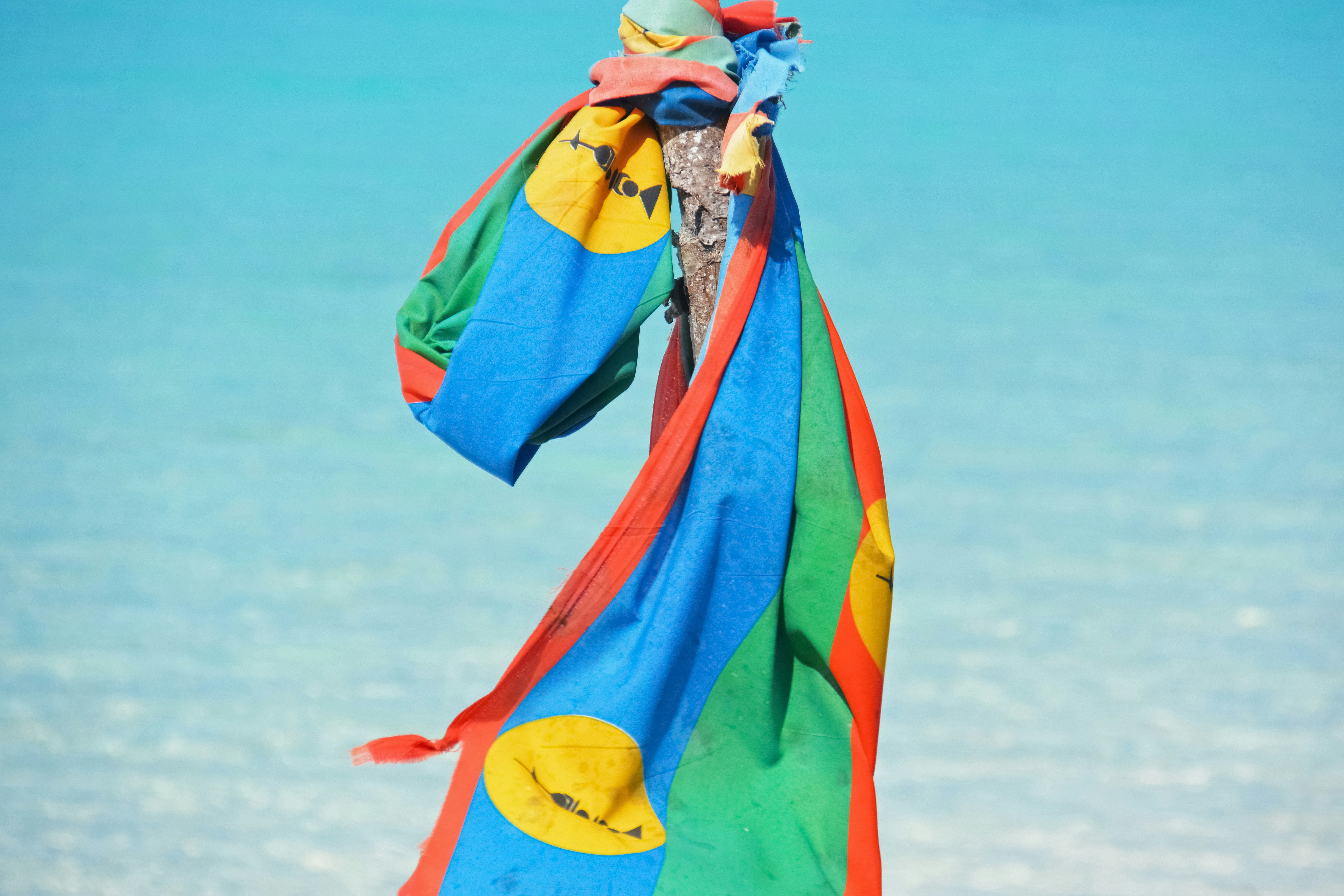 yellow blue and red flag on beach during daytime